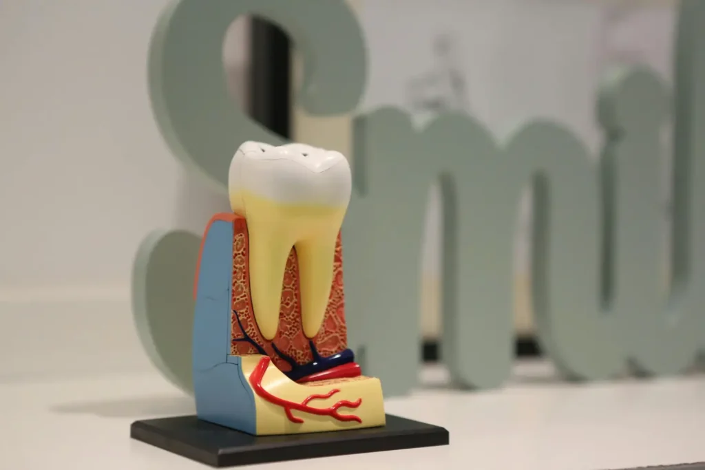Root canal treatment with Aleriom